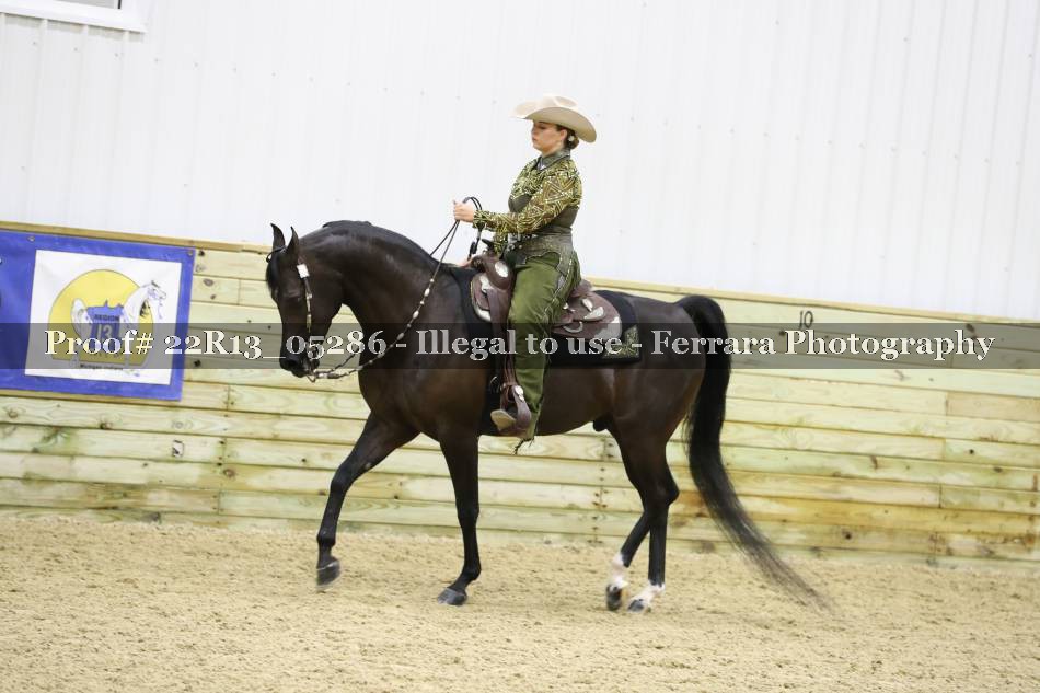 Proof 22R13_05286