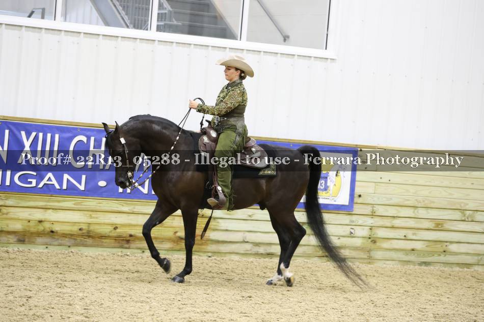 Proof 22R13_05288