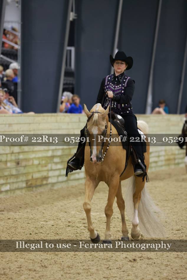 Proof 22R13_05291