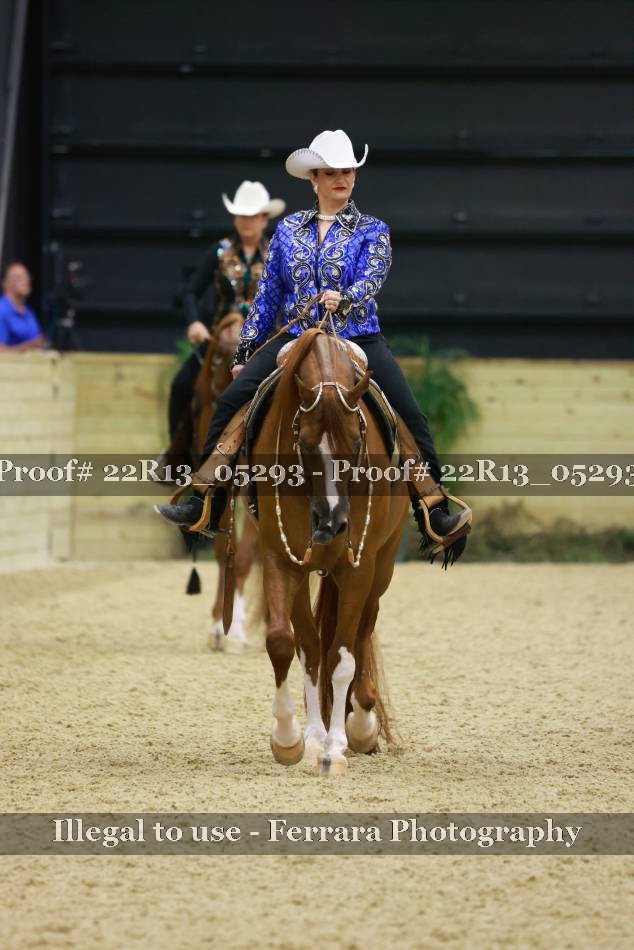 Proof 22R13_05293