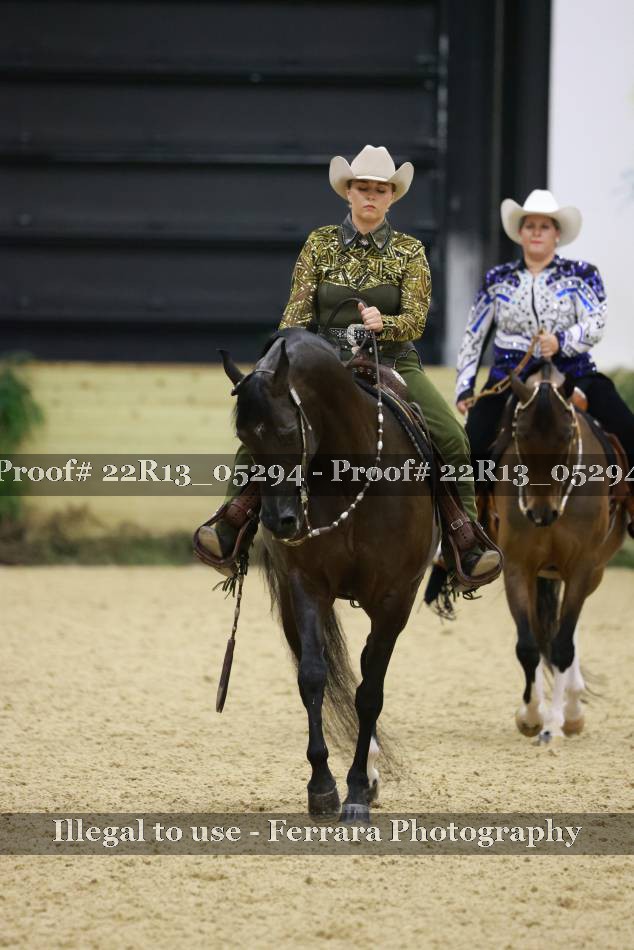 Proof 22R13_05294