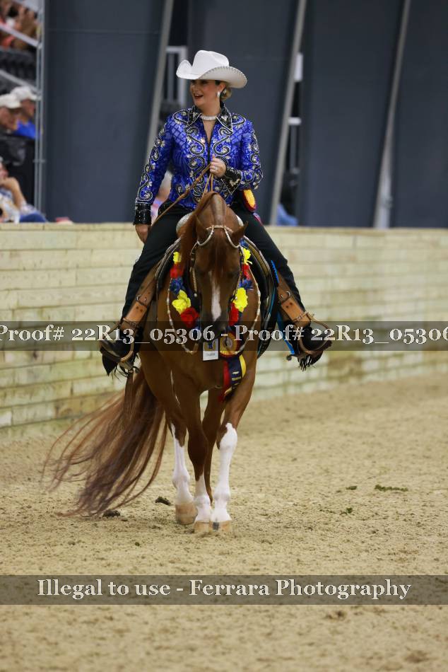 Proof 22R13_05306