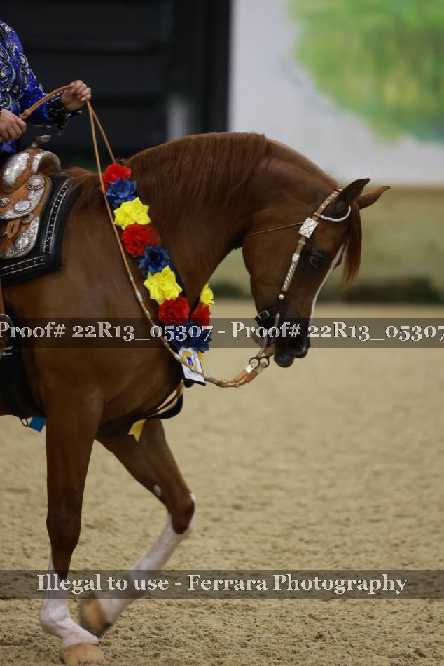 Proof 22R13_05307