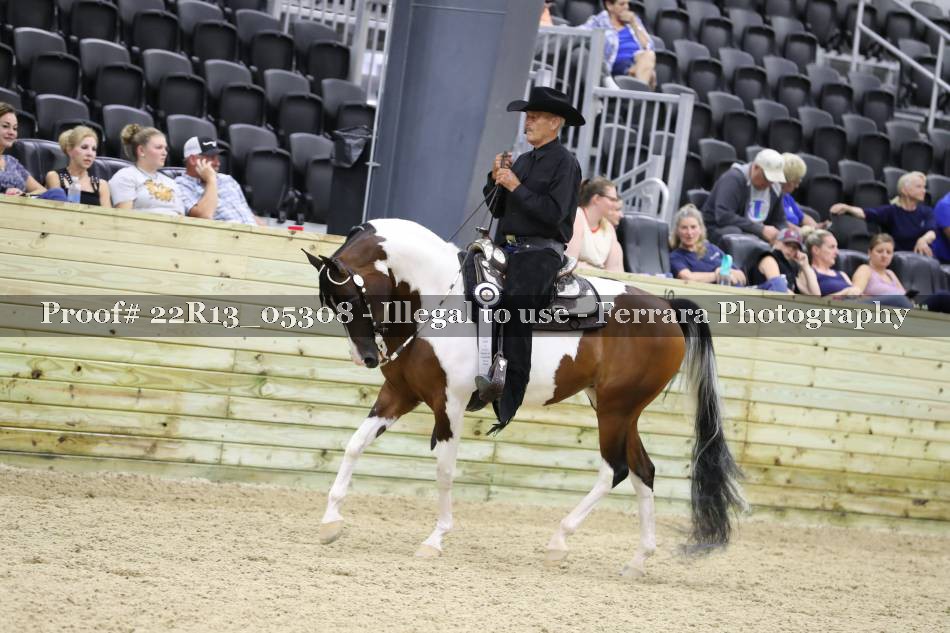 Proof 22R13_05308