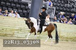 22R13_05308 proof