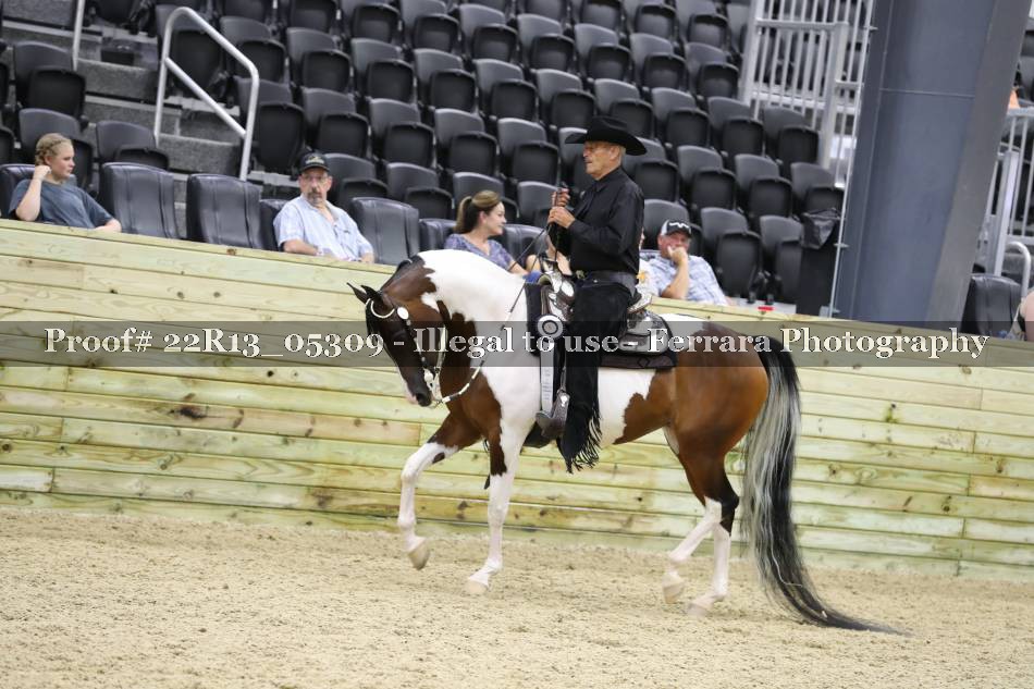 Proof 22R13_05309