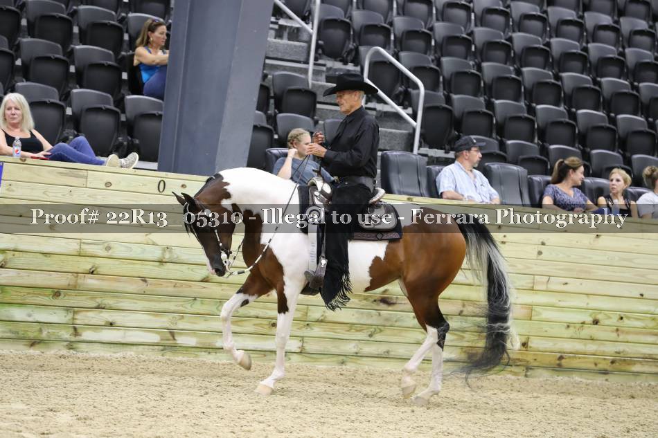 Proof 22R13_05310
