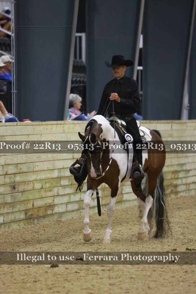 Proof 22R13_05313