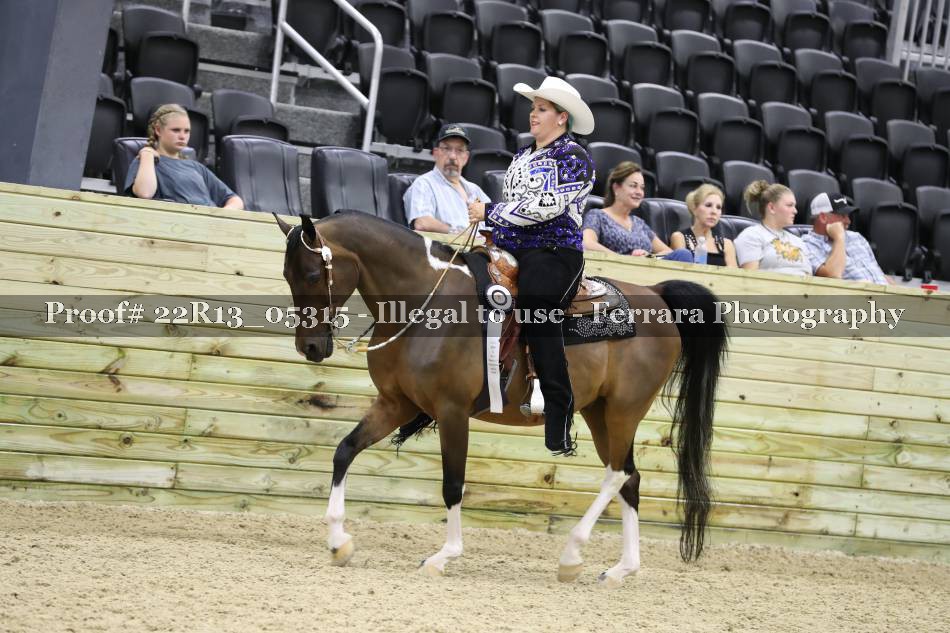 Proof 22R13_05315