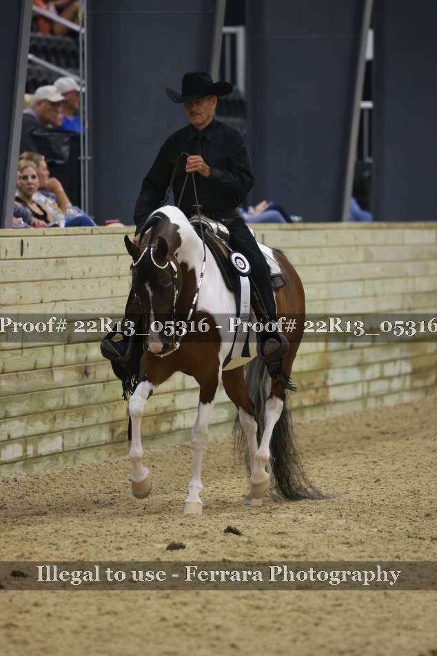 Proof 22R13_05316