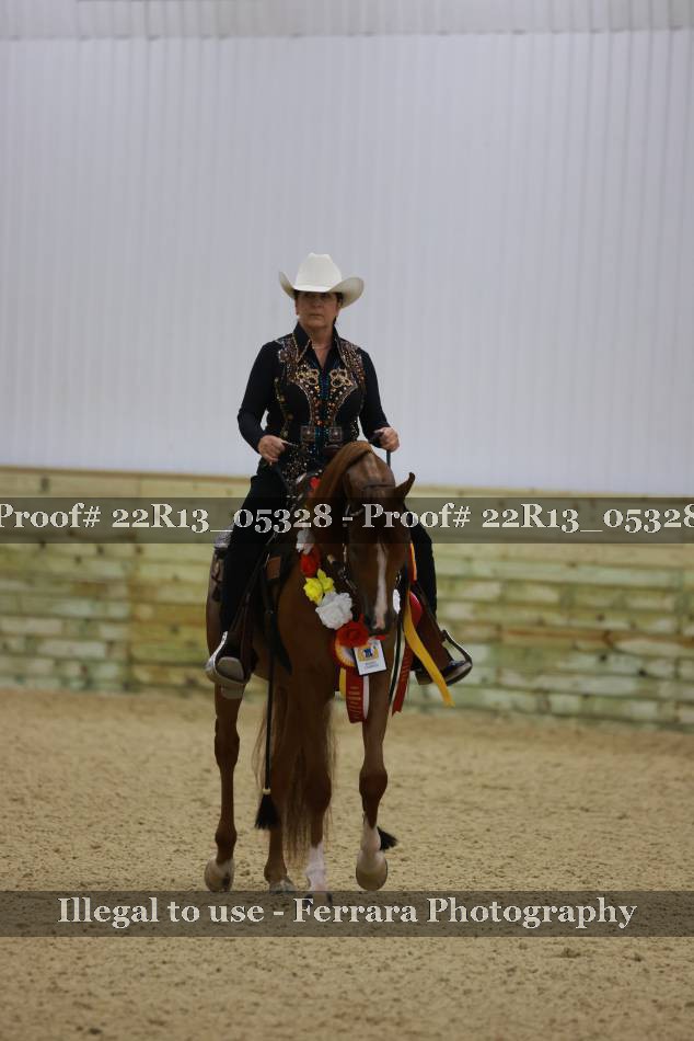 Proof 22R13_05328