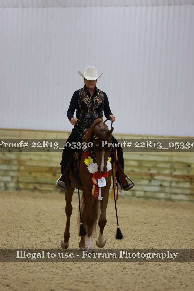 Proof 22R13_05330