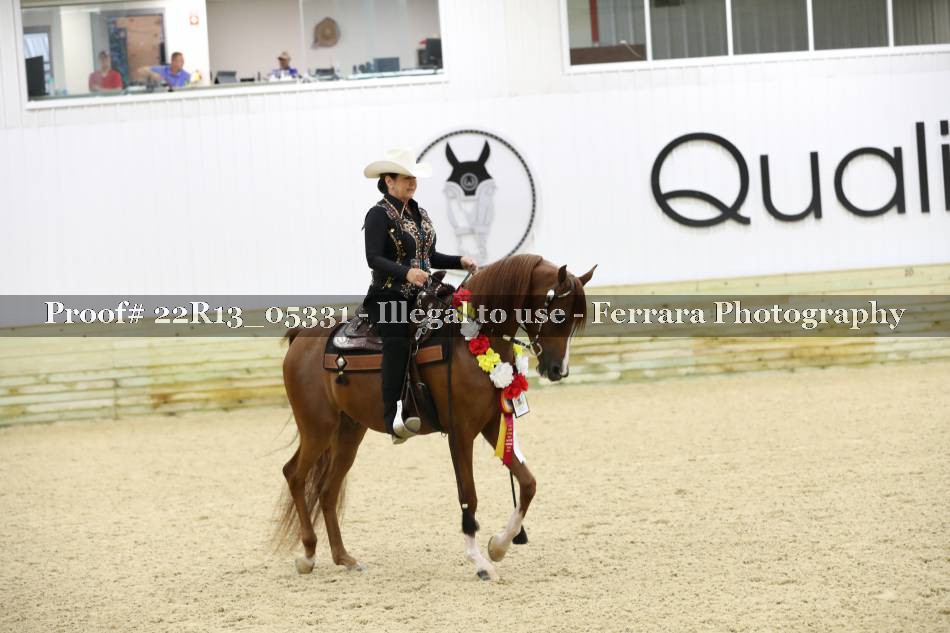 Proof 22R13_05331