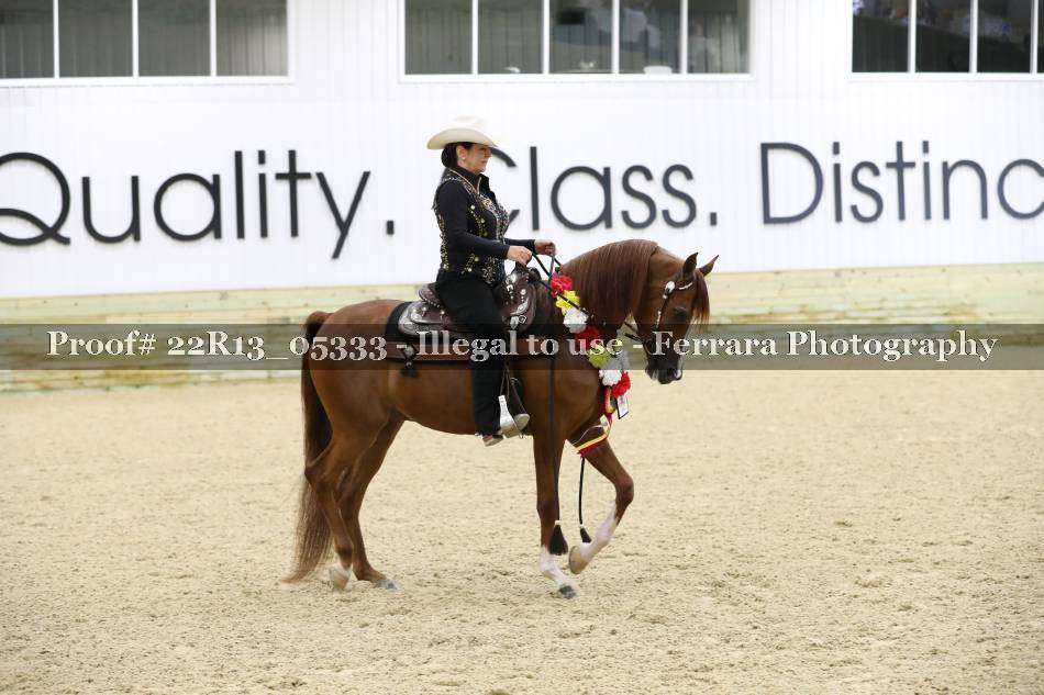 Proof 22R13_05333