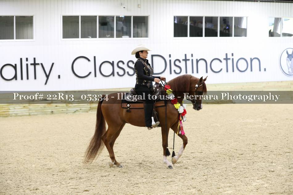 Proof 22R13_05334