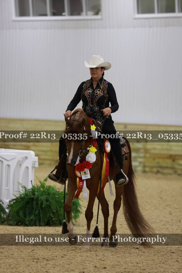 Proof 22R13_05335
