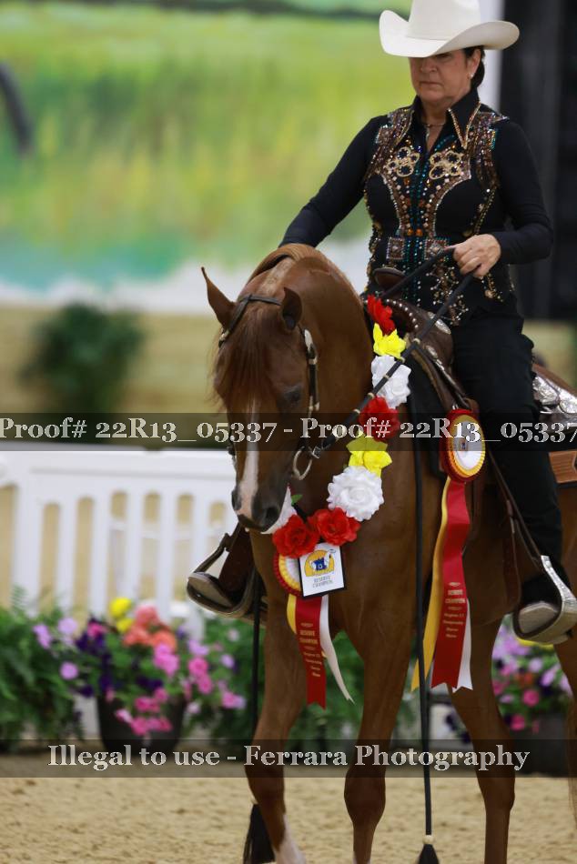 Proof 22R13_05337