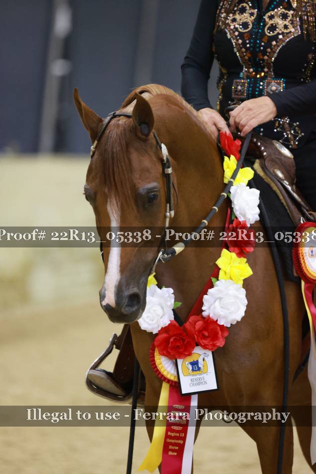 Proof 22R13_05338