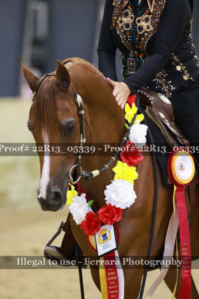 Proof 22R13_05339