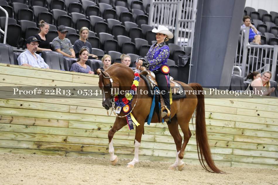 Proof 22R13_05341
