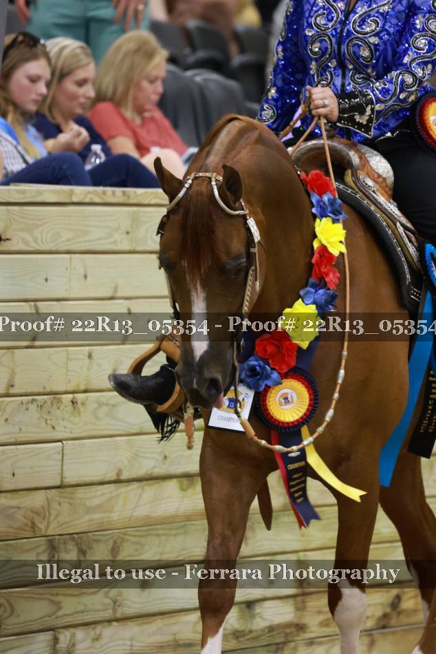 Proof 22R13_05354