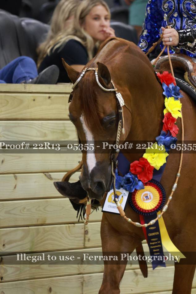 Proof 22R13_05355