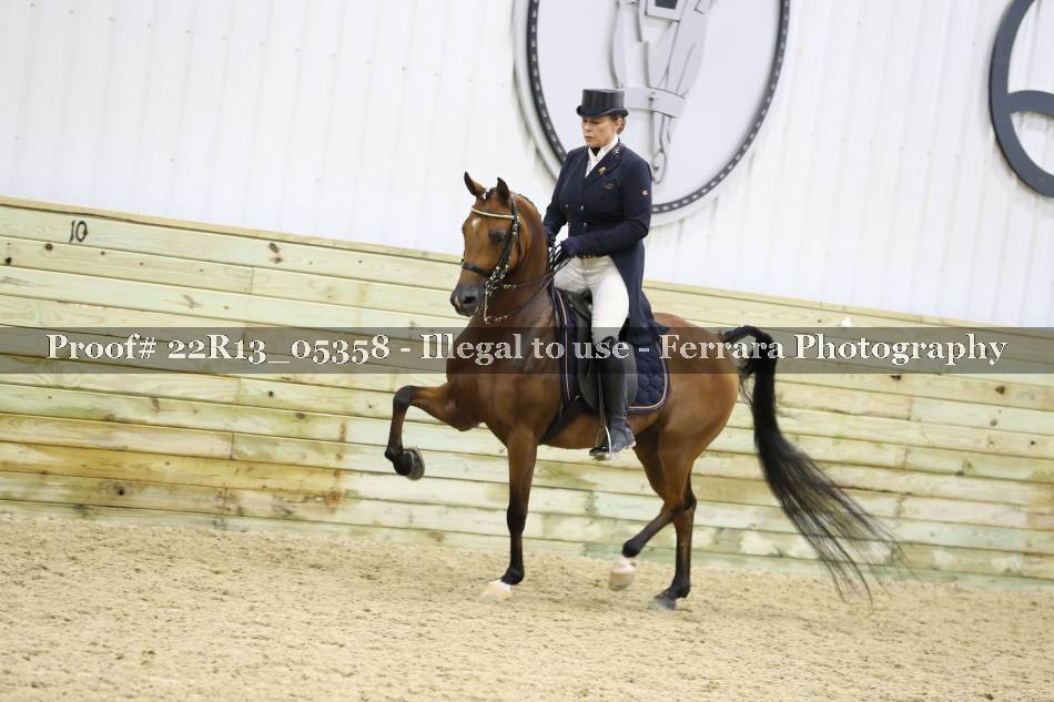 Proof 22R13_05358