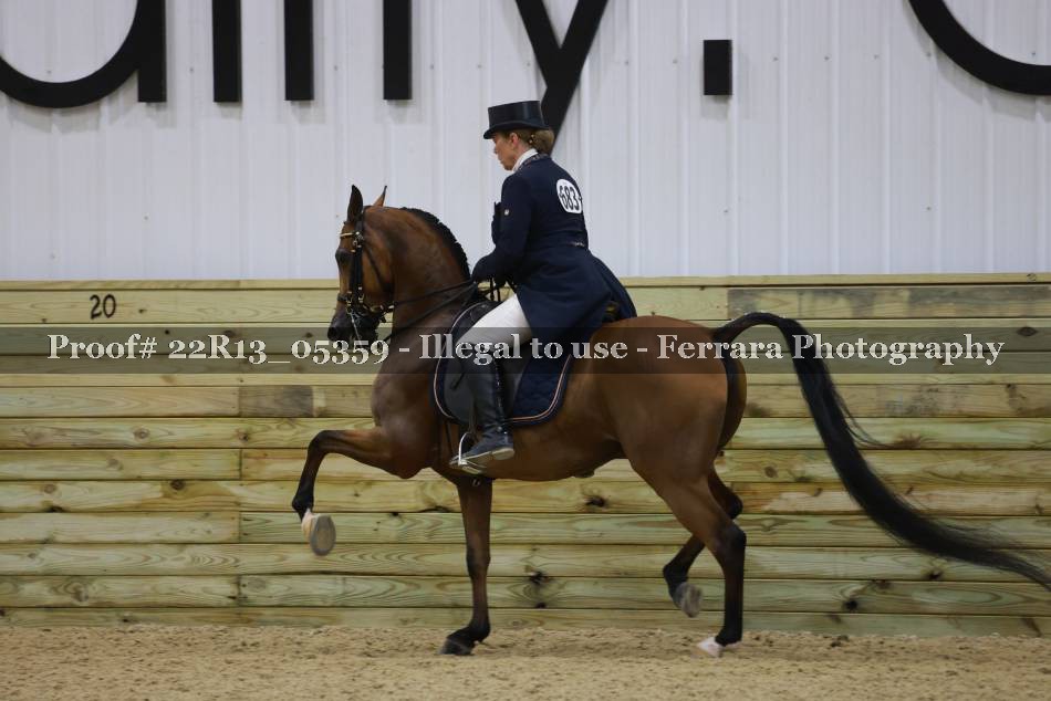Proof 22R13_05359