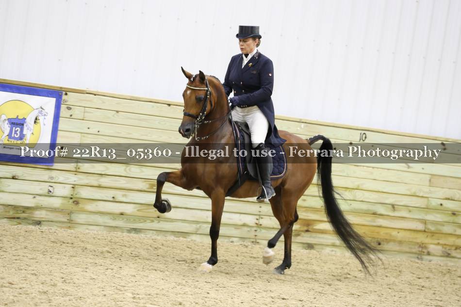 Proof 22R13_05360