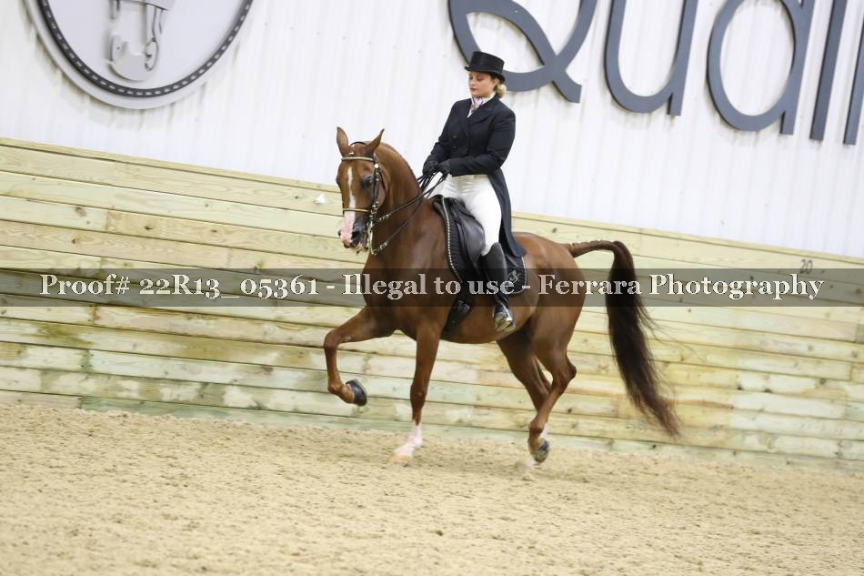 Proof 22R13_05361