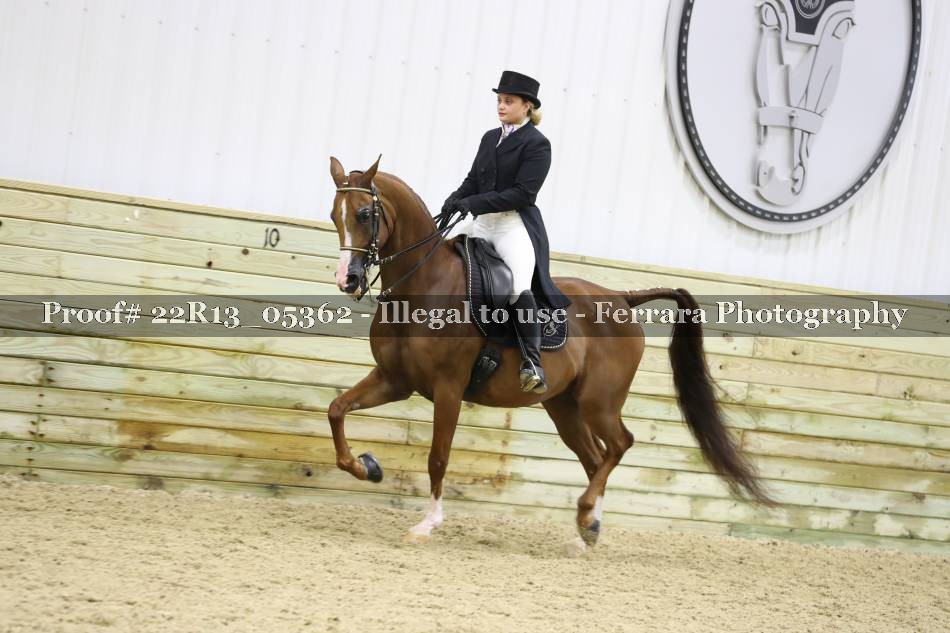 Proof 22R13_05362