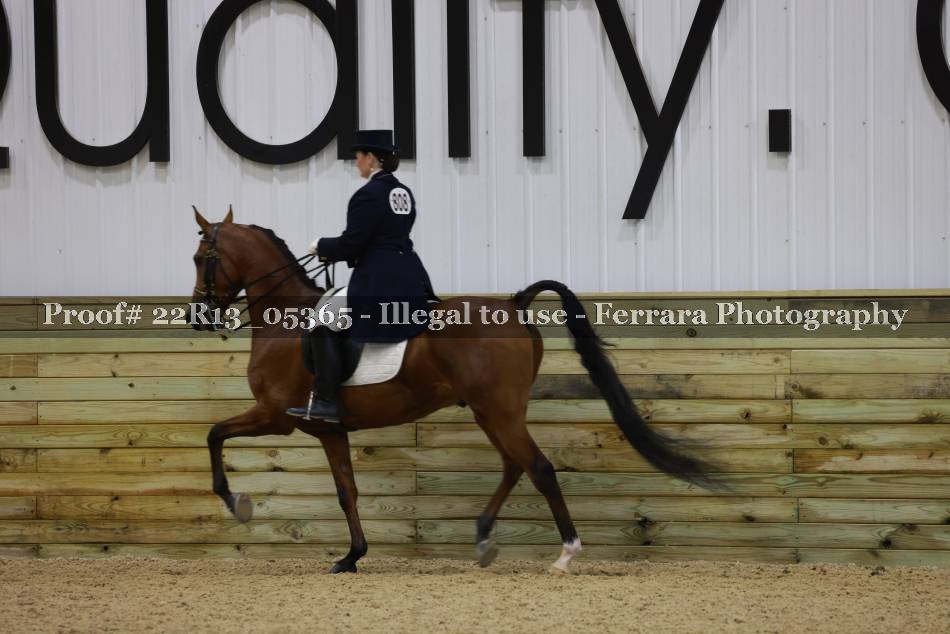 Proof 22R13_05365