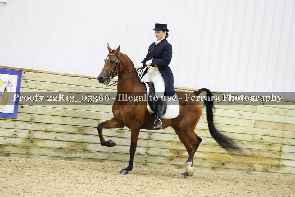 Proof 22R13_05366