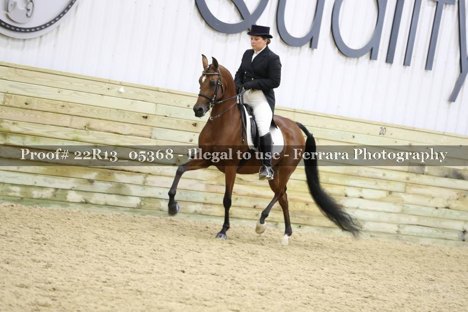 Proof 22R13_05368