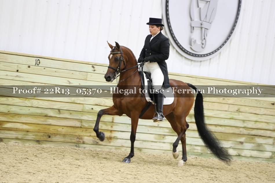 Proof 22R13_05370