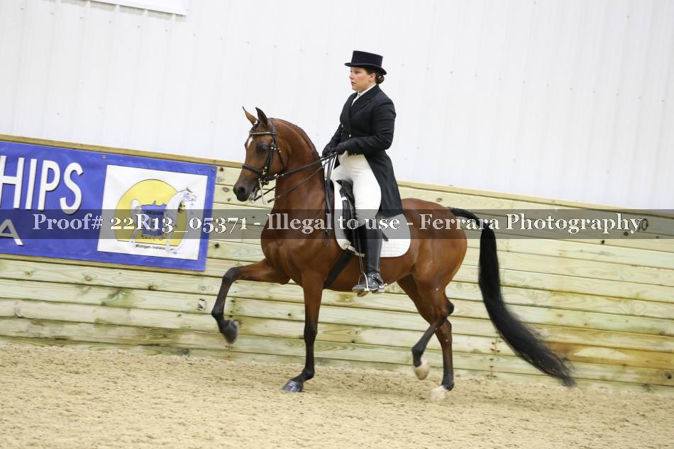 Proof 22R13_05371