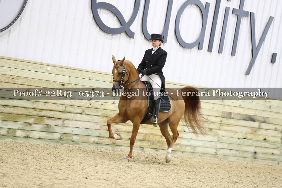 Proof 22R13_05373