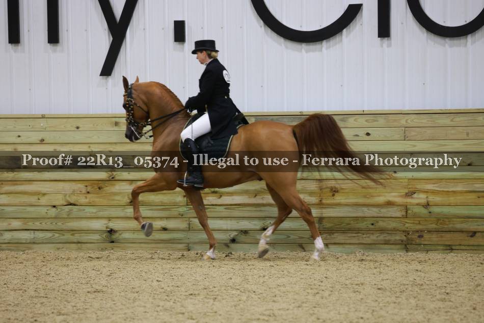 Proof 22R13_05374
