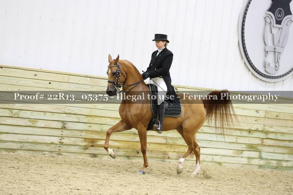 Proof 22R13_05375