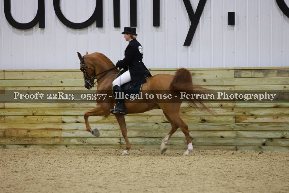 Proof 22R13_05377