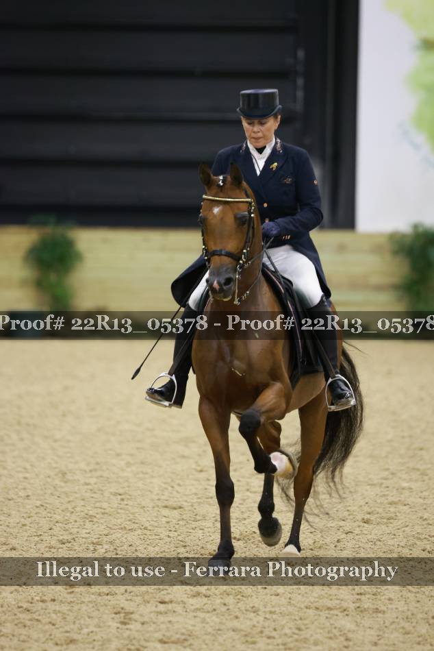 Proof 22R13_05378