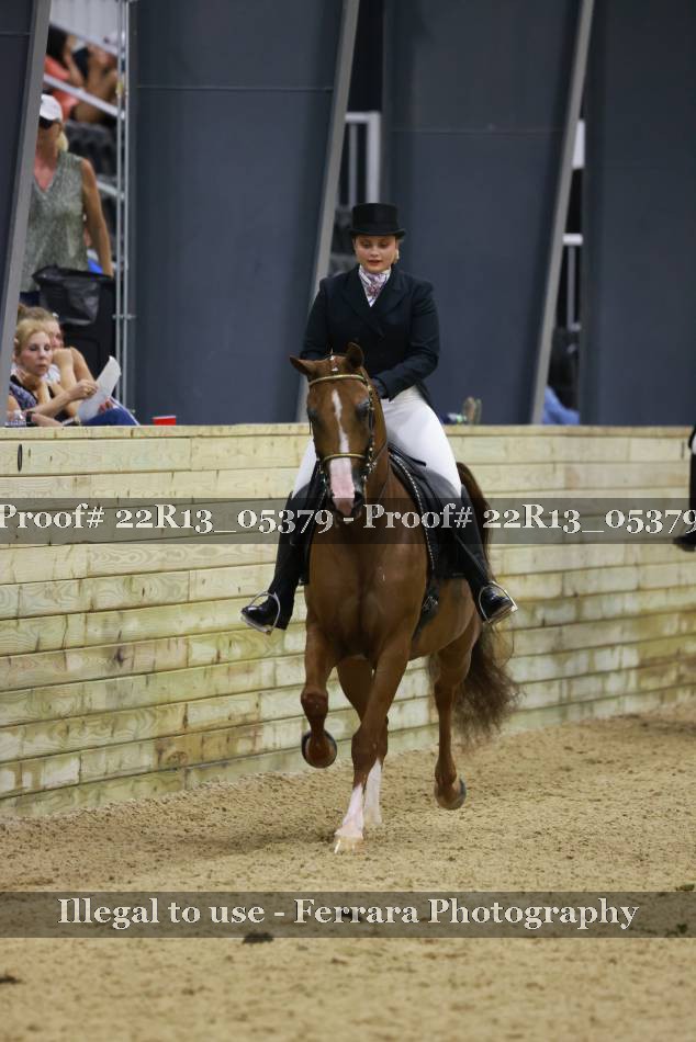 Proof 22R13_05379