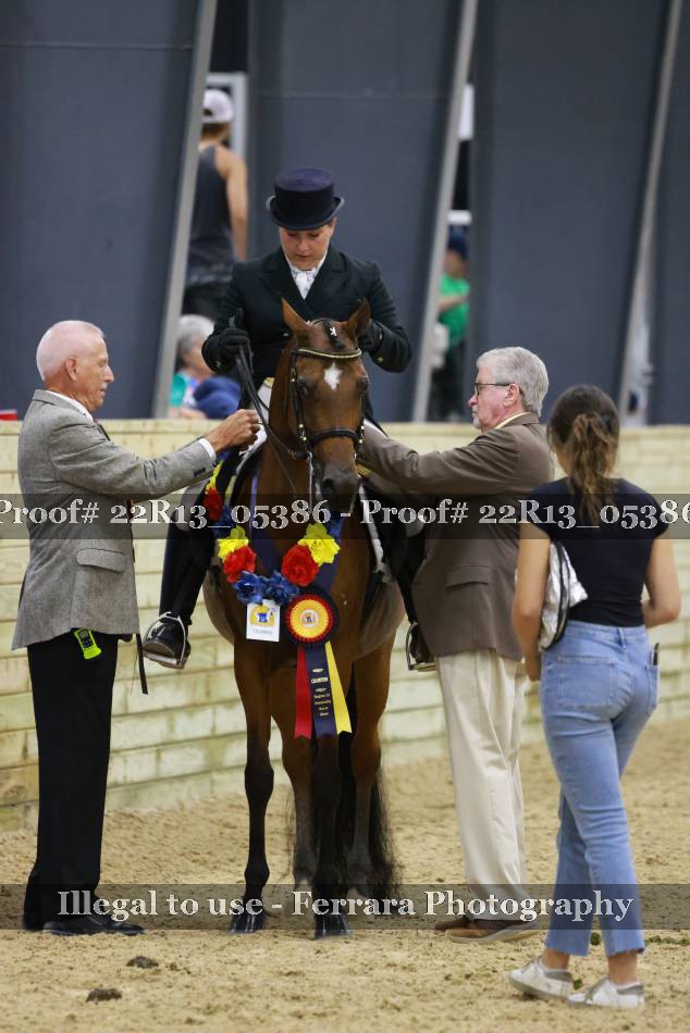 Proof 22R13_05386