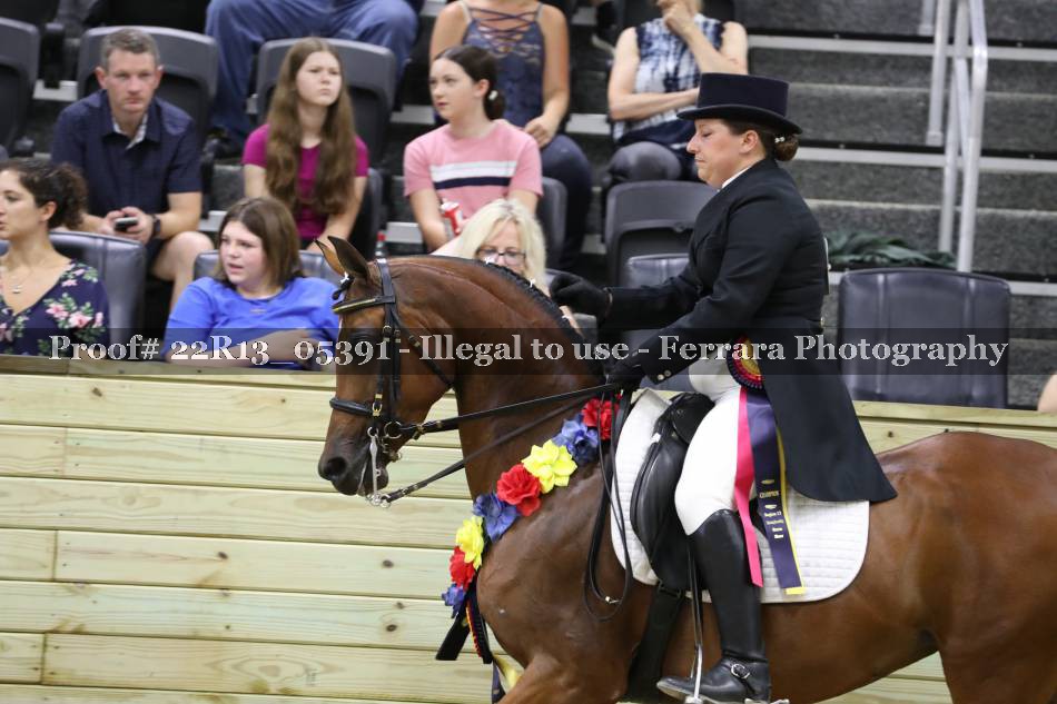 Proof 22R13_05391