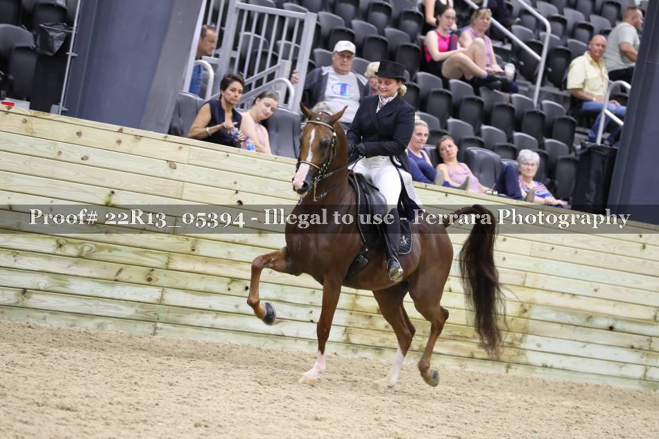 Proof 22R13_05394