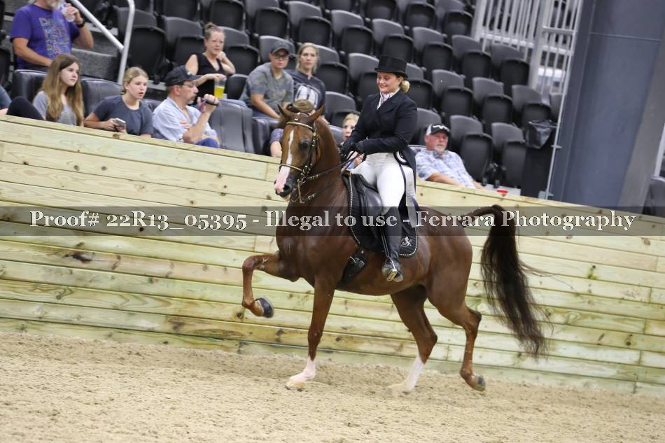 Proof 22R13_05395