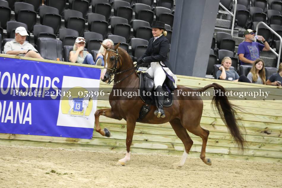 Proof 22R13_05396