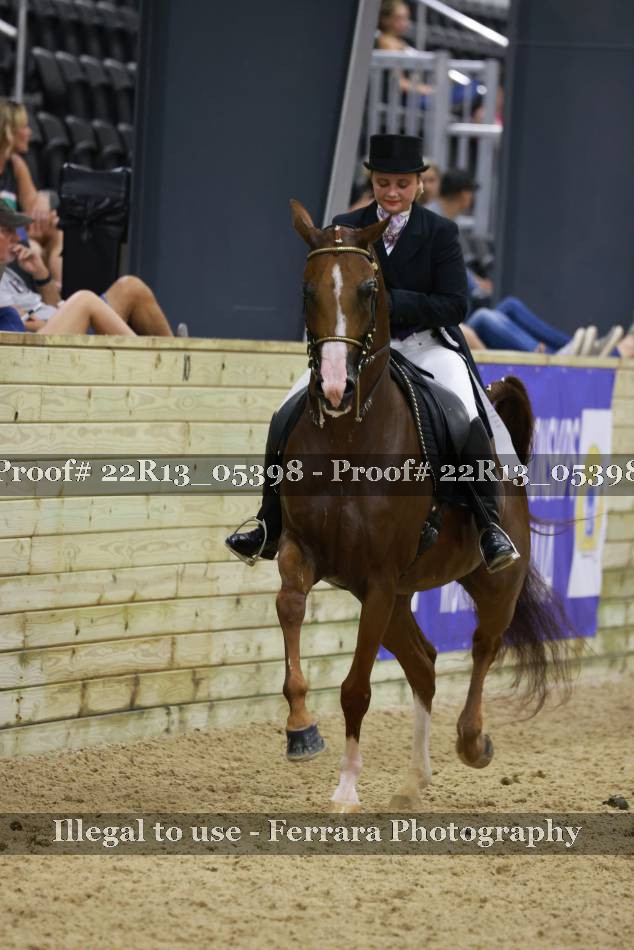 Proof 22R13_05398