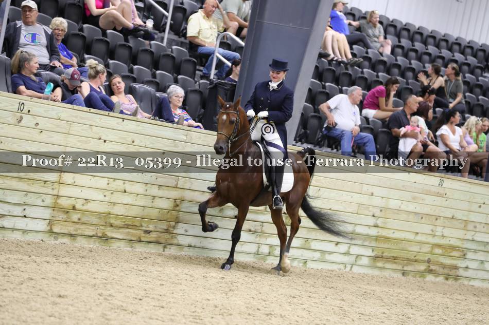 Proof 22R13_05399