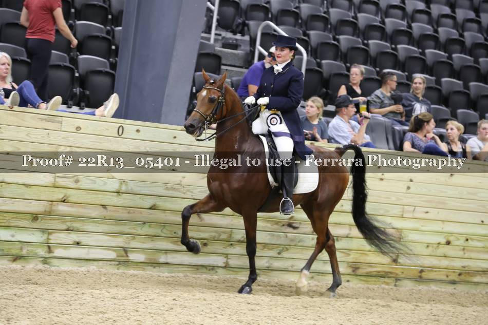 Proof 22R13_05401
